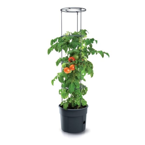 Kvetináč na pestovanie paradajok TOMATO GROWER antracit 39,2cm (max. výška: 153cm)